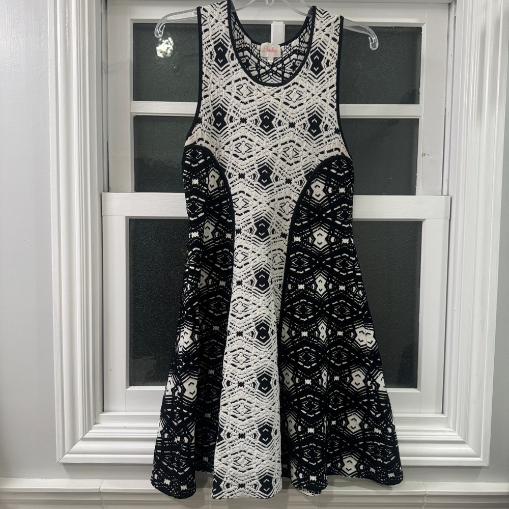 Parker, black and white skater dress, size large